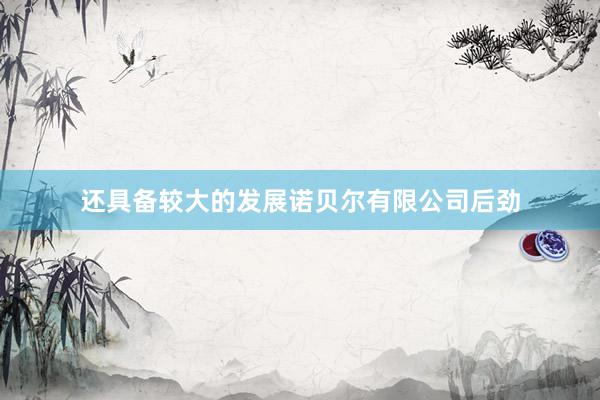 还具备较大的发展诺贝尔有限公司后劲